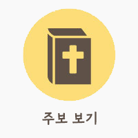 주보보기